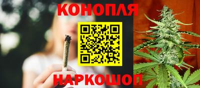 гидра Моздок