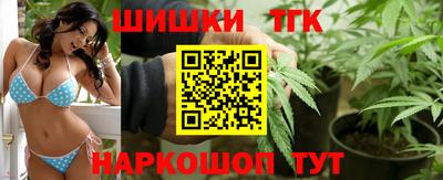 гидра Моздок